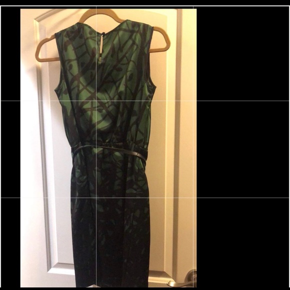 Green and black silk dress from the Limited - Picture 4 of 4